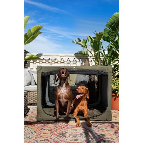 Noah & Paw Collapsible Dog Crate 42 Inch, XXL Dog Crate for XXL, XL, Large Breeds, Travel Kennel for Car, Includes Pet Mat for Pet Cage, 2 Storage Pockets, Handbag, 10mm Locking Zippers 42 * 31 * 31
