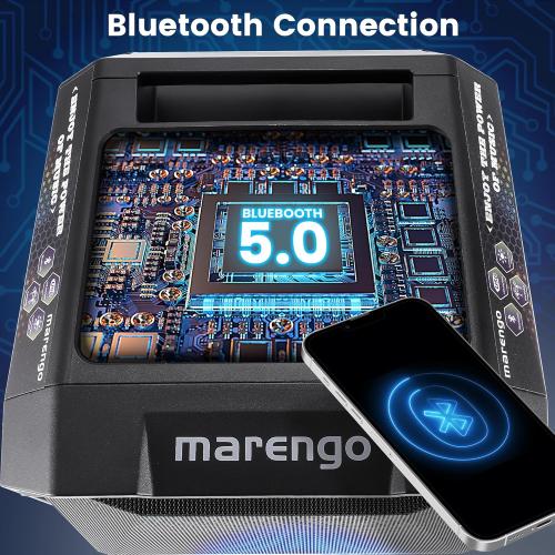 Karaoke Machine with 2 Wireless Microphones, Portable Bluetooth Party Karaoke Speaker with LED Lights, Bass/Treble Adjustment, TWS, 800W(Peak) PA System for Home Party, Supports USB/AUX/REC/Mic-in ( no remote)