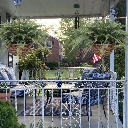 Artificial Boston Ferns Hanging Plants 2 Pack Fake Hanging Plants for Outdoors, UV Resistant Outdoor Hanging Faux Ferns Plants for Front Porch Indoor Décor