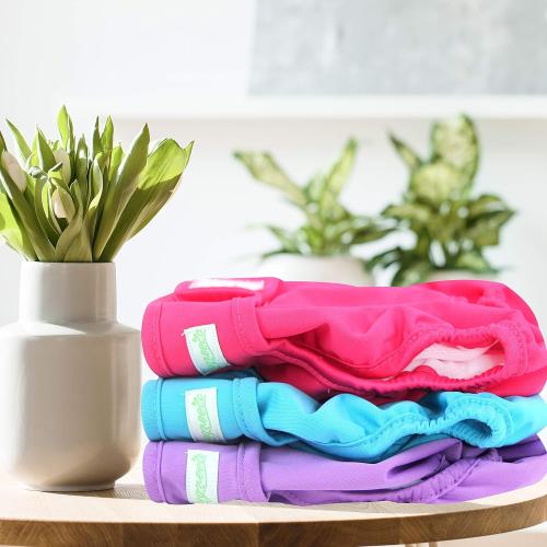 wegreeco Washable Reusable Premium Female Dog Diapers, Medium Large Small Dog Doggie Puppy & Doggy Diapers Female,Period Panties in Heat (Pack of 3, SMALL)