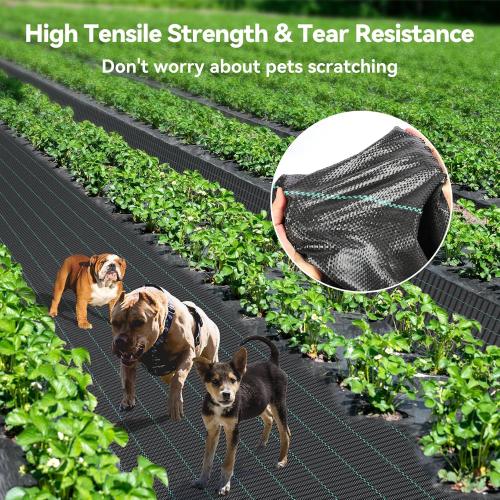 iropro 3ftx300ft Weed Barrier Fabric 3.2oz Landscape Fabric Heavy Duty, Woven Weed Control Cloth, Woven Weed Fabric for Underlayment, Gardening Ground, Commercial Driveway Weed Block Cover Mat