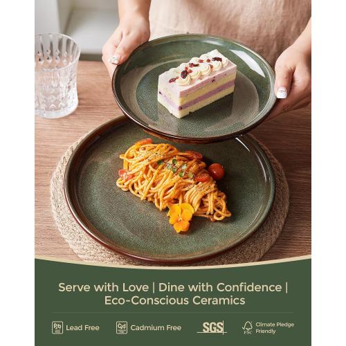 Pokini Stoneware Dinnerware Sets for 4, 12pcs Plates and Bowls Sets Dishes