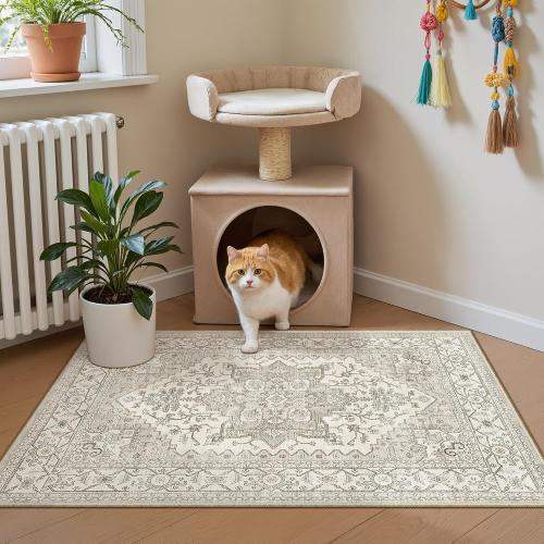 Madane Washable Area Rug 2x3 Small Entryway Rugs Non-Slip, Beige/Brown