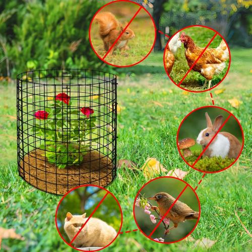 Adnee 10 Packs Wire Plant Protector from Animals - 12 H X 12 D Metal Mesh Plant Cage Covers - Sturdy Garden Bunny Barricades Chicken Wire Cloche for Plants Shrubs Vegetables Flowers