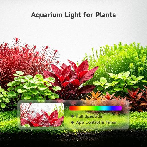 M1 5.3 Gallon Smart Fish Tank, App-Controlled Betta Aquarium Starter Kit | Integrated Lid with Auto Feeder, Full Spectrum LED, Temp Display, Dual Filtration, Quiet Pump for Desktop, White