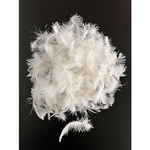 Bulk Goose Down Feather Stuffing & Fill – Hypoallergenic Pillow Filling, Repair, Restuff, Fluff for Couch Cushions, Comforters, Jackets5/95-1Lb DIY