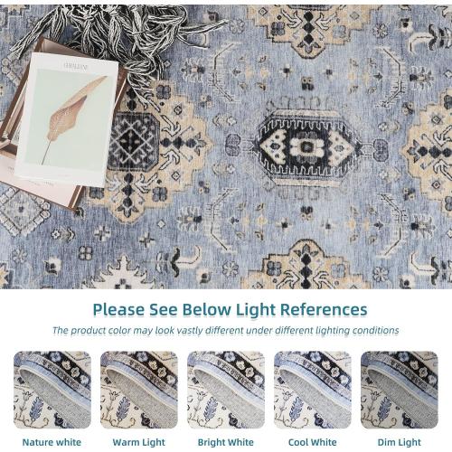 Dripex Vintage Washable Area Rug - 5x8 Distressed Rugs for Living Room Bedroom Oriental Medallion Floral Print Carpet Low-Pile Indoor Soft Non-Slip Accent Rug Farmhouse Office Home Decor