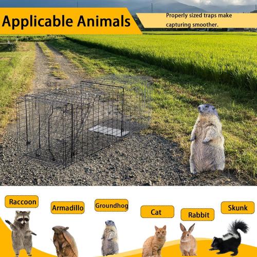 Heavy Duty Live Trap 37x13x14.5 Inch Steel Collapsible with Humane Trap Release Door for Stray Cats, Raccoons, Skunks, Groundhogs, Armadillos and Other Live Animals.