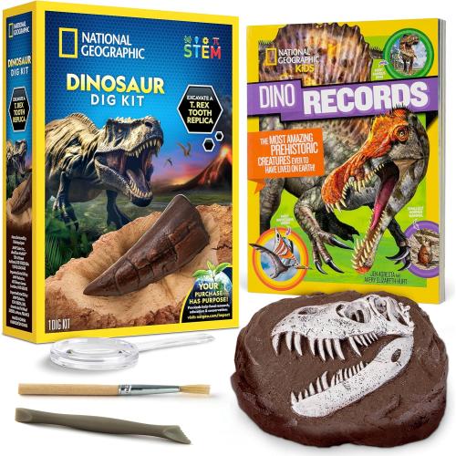 NATIONAL GEOGRAPHIC Dino Fossil Dig Kit & Dinosaur Book for Kids- Excavate a Replica Dinosaur Tooth Fossil and Study Paleontology with a Full-Color Dinosaur Activity Book for Kids (Amazon Exclusive)