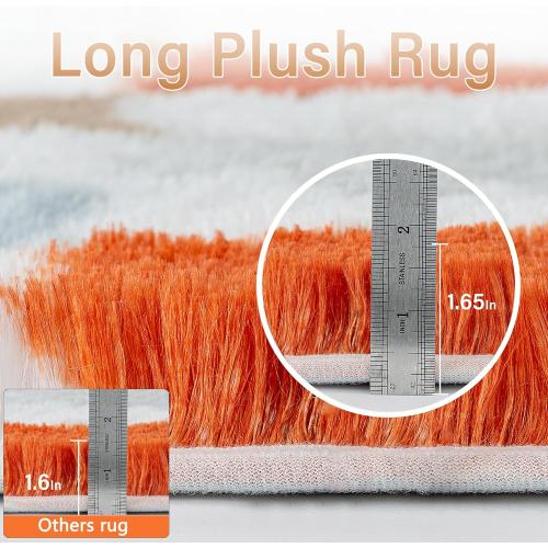 Checkered Rug 8x10 for Living Room, Modern Rainbow Shag Rug Washable Non-Slip Large Area Rug Super Soft Indoor Fuzzy Carpet Fluffy Rugs for Bedroom Home Aesthetic Decor