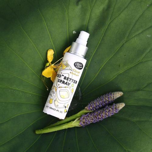 Clean-n-Fresh Toilet Spray, 6.8 Fl.oz Poo Spray | Up to 400  Uses, 100% Natural Plant Essential Oil Citrus Scent, Bathroom Deodorizer