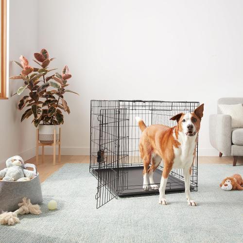 Amazon Basics - Durable, Foldable Metal Wire Dog Crate with Tray, Single Door, 42 x 28 x 30 in, Black