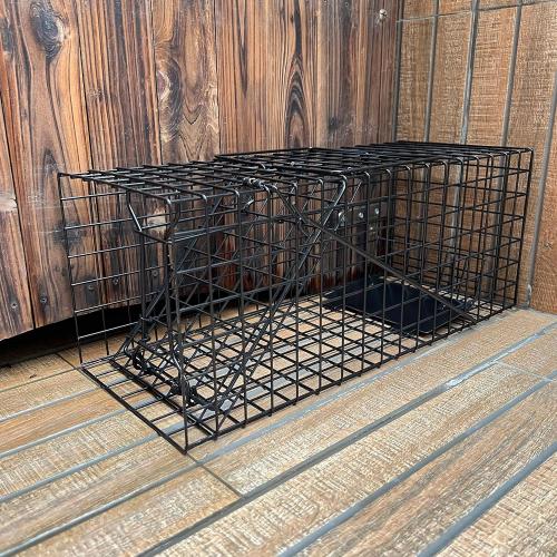 Black Live Squirrel Trap Heavy Duty Humane Animal Cage Trap