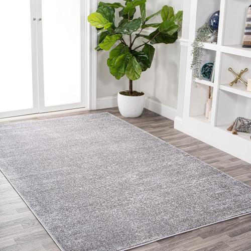 Large grey area rug