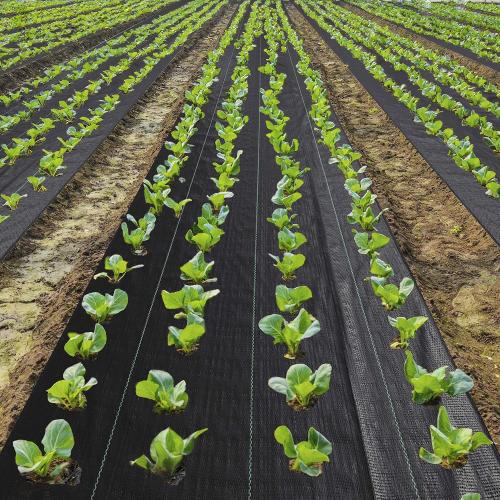 EXTRAEASY 4ft x 180ft Garden Weed Barrier Landscape Fabric,Weed Block Fabric Heavy Duty 3.2OZ,Woven Mulch for Landscaping Ground Cover Weed Control Fabric, Black Garden Bed Liner