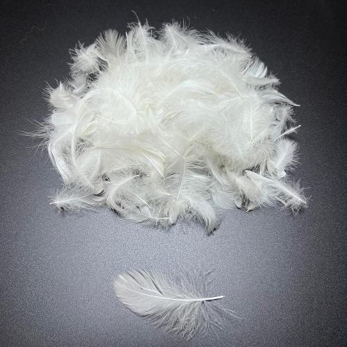 Bulk Goose Down Feather Stuffing & Fill – Hypoallergenic Pillow Filling, Repair, Restuff, Fluff for Couch Cushions, Comforters, Jackets5/95-1Lb DIY