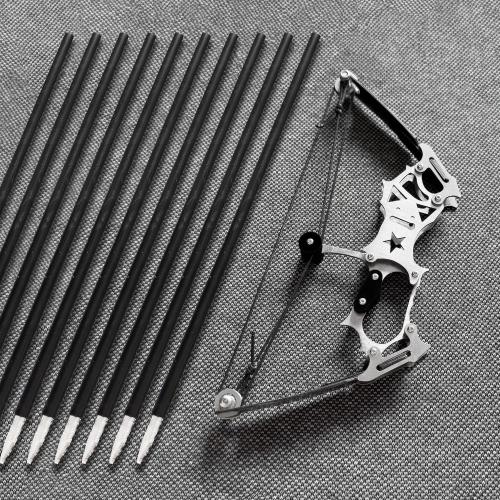 Archery Bow Set Left and Right Hand Compound Bow Hunting Bow Metal Material Catapult RH/LH for Practice Archery