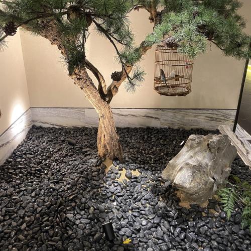FANTIAN 40 lbs Black River Rocks for Landscaping, 2-3 inch Pebbles for Indoor Plants, Large Decorative Stones for Planters Aquarium Fish Tank and Garden Rocks