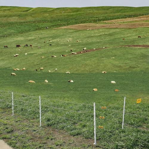 Size 48/4 ft 25 Pack Electric Fence Posts,48 Inch/4FT Step-in Plastic Posts for Farm and Garden,Temporary Sturdy Fencing System for Electric Fencing and Yard Protection, White