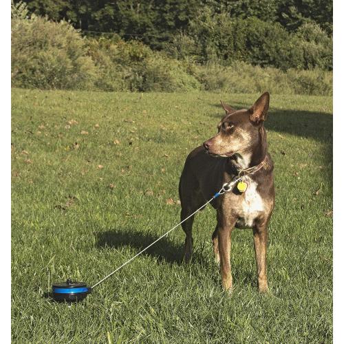 Lixit Bracket Mount and Stake Retractable Leash Tie Outs for Dogs (Stake, Medium)