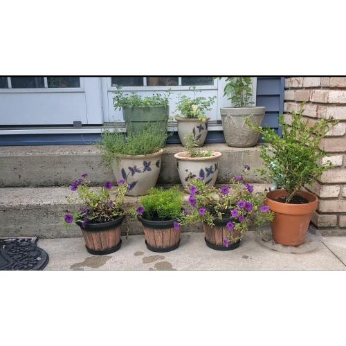 Quarut Plant Pots Set of 3 Pack 9 inch,Whiskey Barrel Planters with Drainage Holes & Saucer.Plastic Decor Flower Pots Imitation Wine Barrel Design,for Indoor & Outdoor Garden Home Plants (Brown)