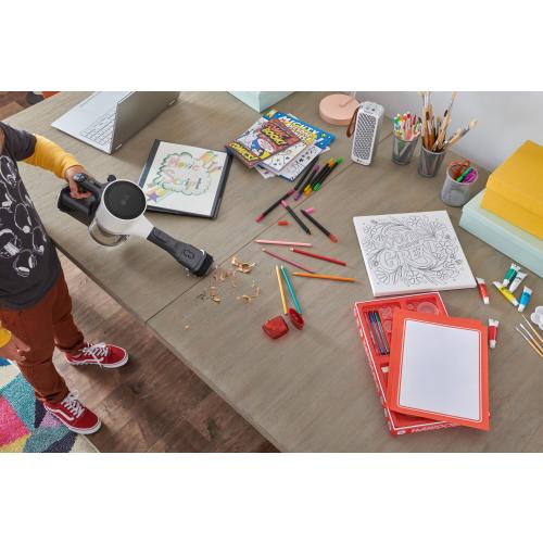 LG CordZero vacuum with Auto Empty Cordless Pet Stick Vacuum (Convertible To Handheld)