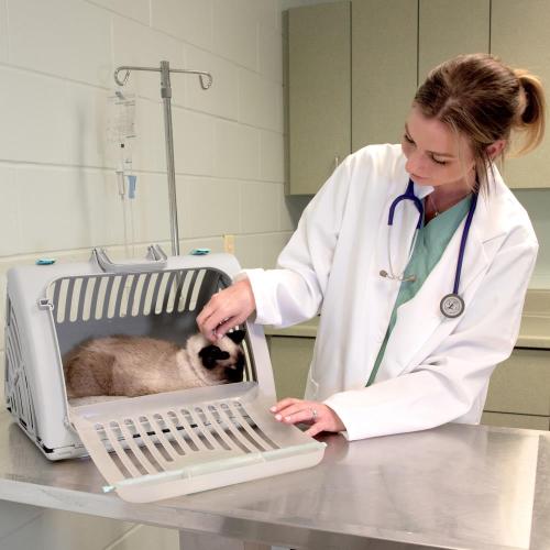 Kitty City 1.27-in x 1.54-in x 1.21-in Gray Collapsible Plastic Small Dog/Cat Sling