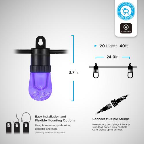 Enbrighten 40-ft Plug-in Black Indoor/Outdoor String Light with 20 Color Changing-Light LED Edison Bulbs