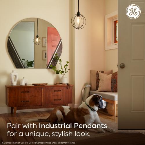 GE 60-Watt EQ A19 Warm Candlelight Medium Base (e-26) Dimmable LED Decorative Light Bulb (2-Pack)