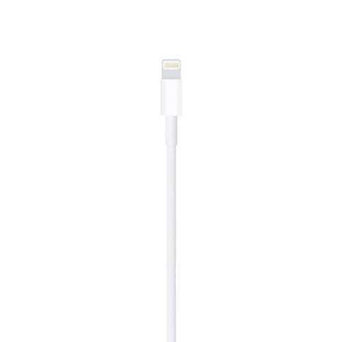 Apple Lightning USB Cable 2M