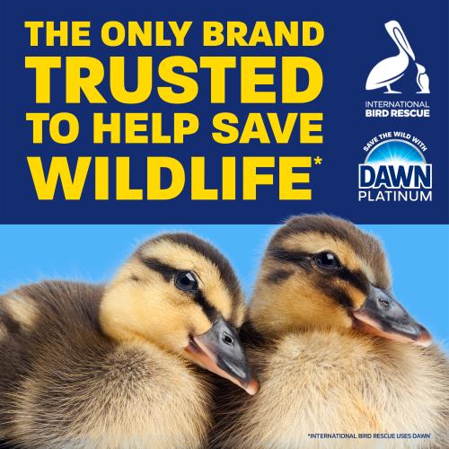 2 Pack Dawn Ultra Platinum EZ-SQUEEZE 24.3-fl oz Refreshing Rain Dish Soap