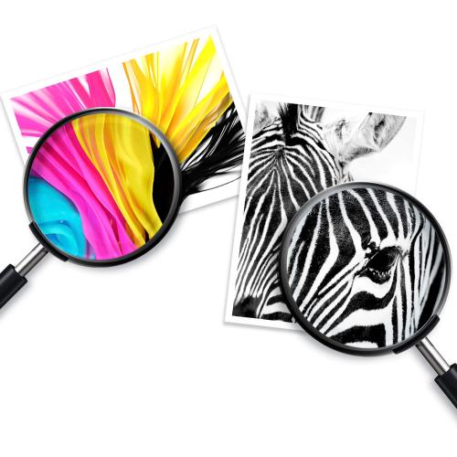 Color Black HP - 64 Standard Capacity Ink Cartridge - Black