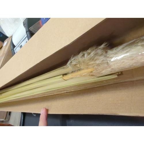 55 inch Scarcity Natural Pampas Grass Decor Tall, pompas Grass, Tall Pampas Grass for Wedding, Party, Farmhouse, Boho Home Decor