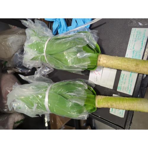 28 inch Artificial Agave Plants, Large Size Fake Succulent Plant, Faux Succulents Stems for Outdoor Indoor Home Decor (Set of 2)