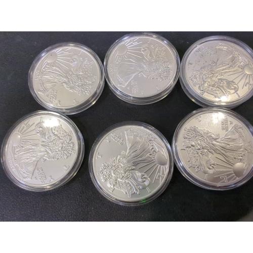 6-PCS 2024 U.S. Eagle The United States Statue of Liberty Silver Plated Coin 1 oz Uncirculated Commemorative Coin Silver Eagles 2024 (6 PCS)