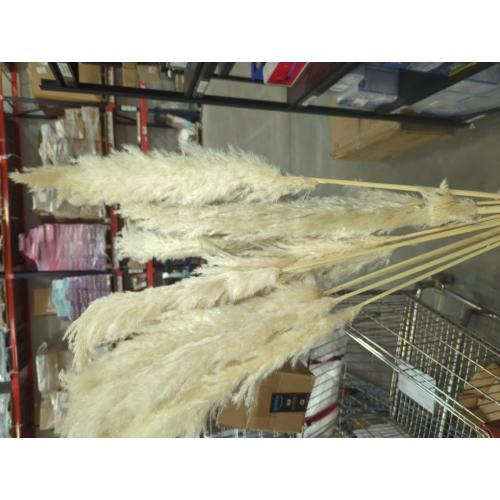 40 10 PCS Dried Pampas Grass Decor Tall,Large Natural Beige pompas Grass,Tall Pampas Grass for Floor Vase,Wedding,Party,Farmhouse,Boho Home Decor,and Creating a Bohemian Ambiance