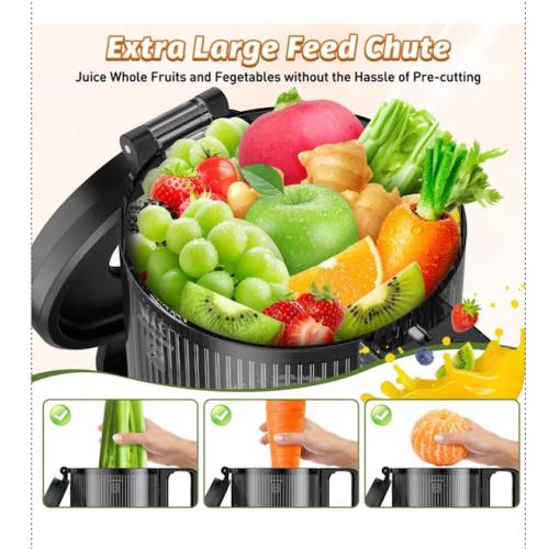 Cold Press Juicer Professional Slow Masticating Juicer for Whole Vegetables & Fruits with High Juice Yield Black