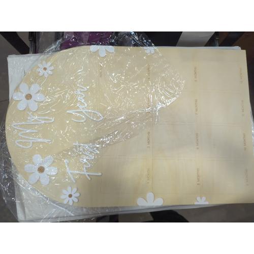 WAWUO 1st First Year Photo Board, 12 Month Picture Milestones Board, My First Year Board, Daisy Birthday Decorations