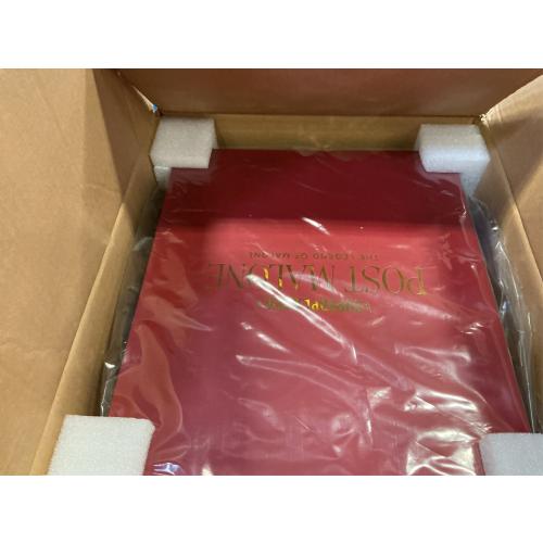 POST MALONE x Superplastic Vinyl 12-Inch Collectible Figure