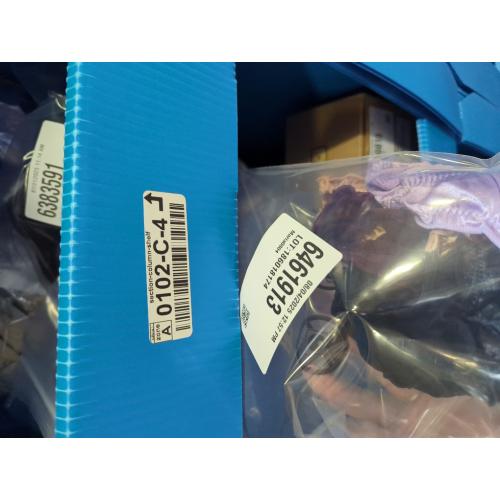 Size large women bikini