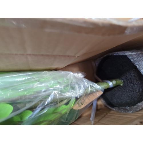 Adcock Artificial Fiddle Leaf Fig Plant in Basket, Faux Green Plant, Fake Tree for Home Décor 49