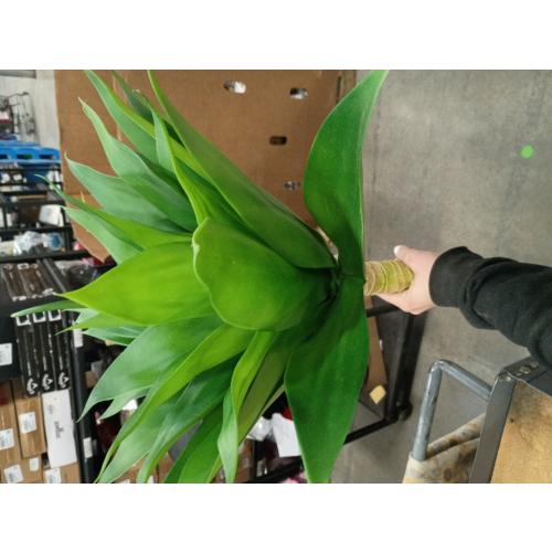 BANNINEO Artificial Agave Succulent Plant 18 Inches, 100% Natural Looking Artificial Greenery Plant Tall Faux Succulent Agave, Artificial Plant for Indoor Outdoor Decor