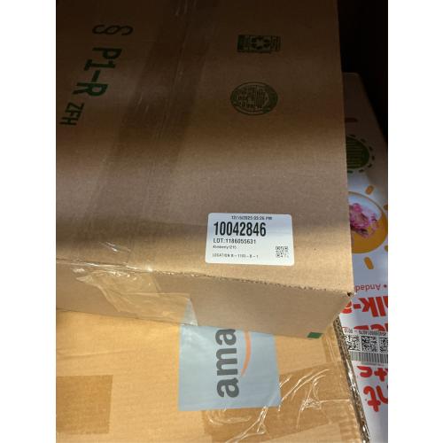 Disney Mickey Mouse Adult Pink Checkered 16.5 Travel Backpack