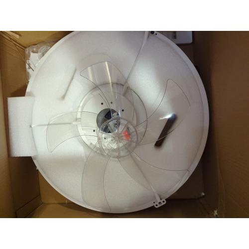 DAMINY 20inch White Ceiling Fans with Lights and Remote, 6CCT, Dimmable Smart Low Profile Ceiling Fan with Light, 6 Speeds Flush Mount Modern Bladeless Ceiling Fan for Bedroom