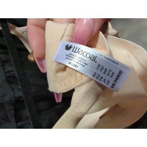 Size 34DDD Wacoal women's padded underwire bra