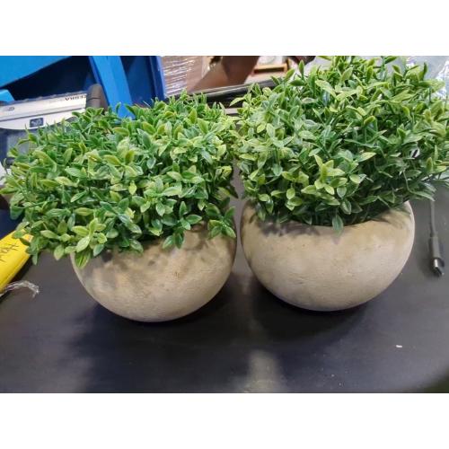 Velener 2Pcs Mini Artificial Boxwood Topiary Faux Plants Indoor- Small Fake Plants Decor Magnolia Home Office Desk Cubicle Farmhouse Kitchen Bookshelf Bedroom Bathroom Decor, Aloe Vera Zen Garden