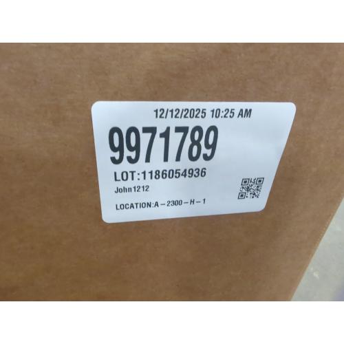 Color grey dog steps