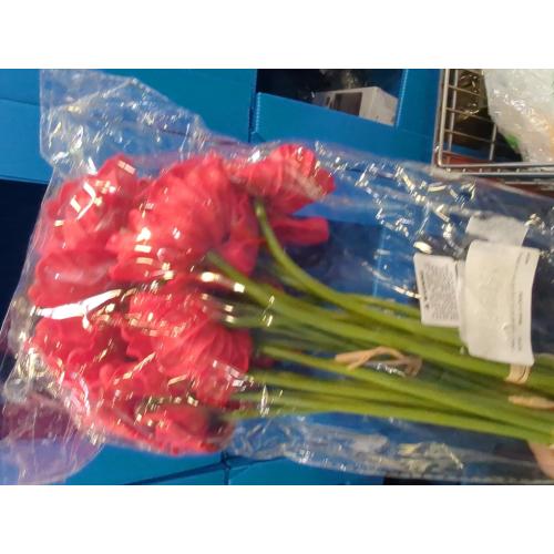 24 pcs Artificial Red Flower Stems PU Real Touch Flower Fake Flowers in Red with Black Center 11.6 Tall for Wedding Bouquets Corsages Centerpiece Floral Arrangements