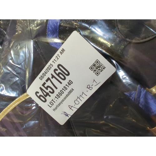 Cyno Cosplay, Genshin Impact Sumeru for Halloween