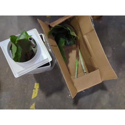 Artificial Plant Indoor 5.5FT - Fake Tree with White Tall Planter - Faux Silk Plants Tall Fake Floor Plant in Pot - Artificial Trees for Home Office Living Room Decor Indoor